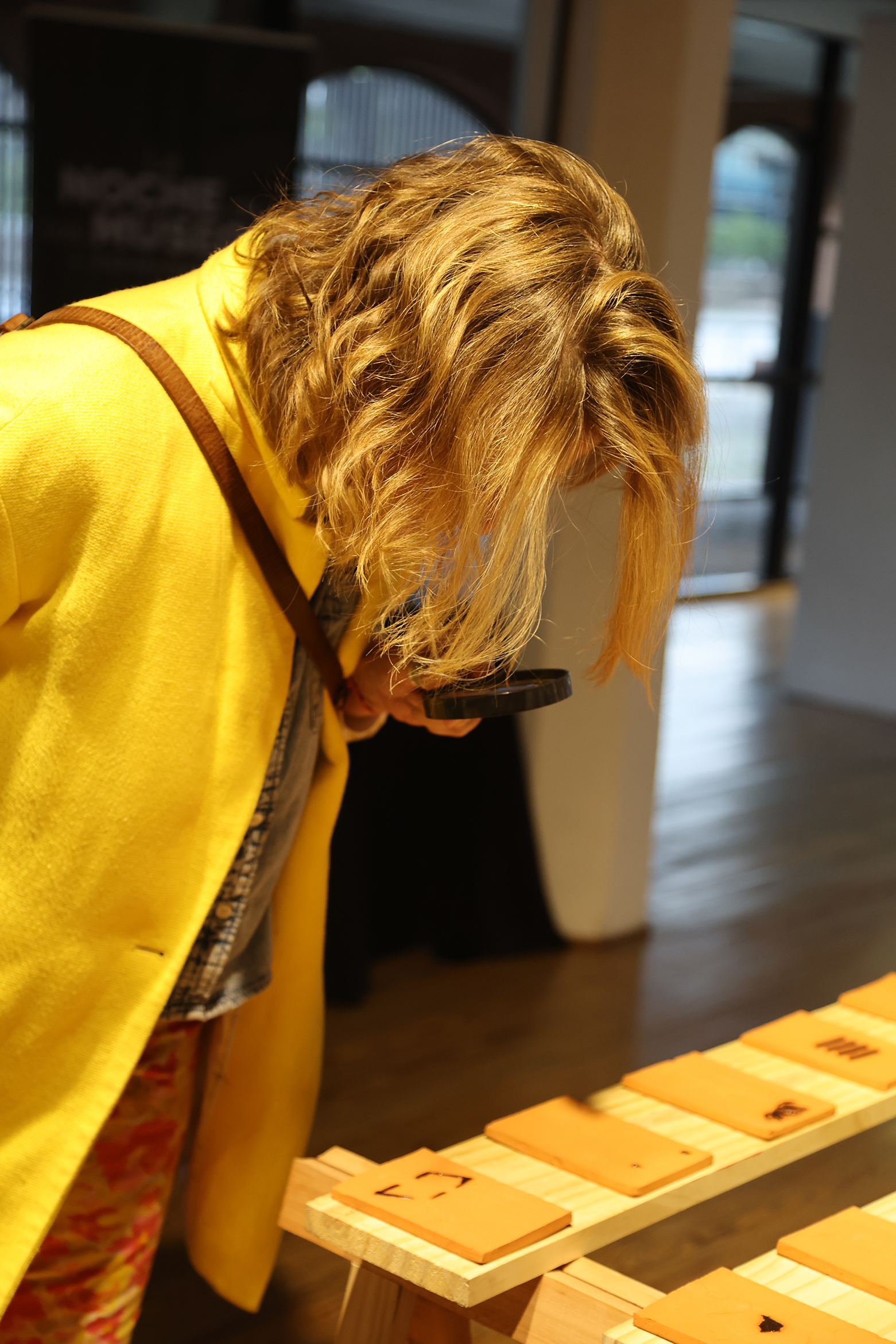 Imagen de exposición 1