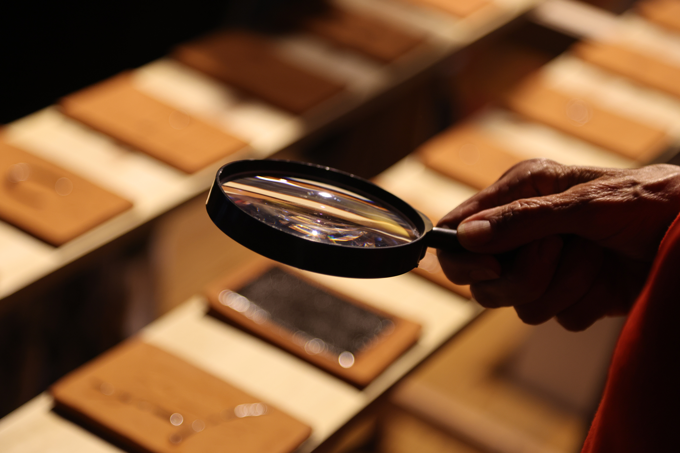 Imagen de exposición 6